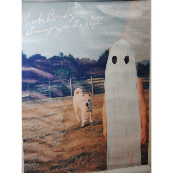 Phoebe Bridgers – Stranger in the Alps Canvas Print (12x18", Unframed Indie Art) - Picture 1 of 4
